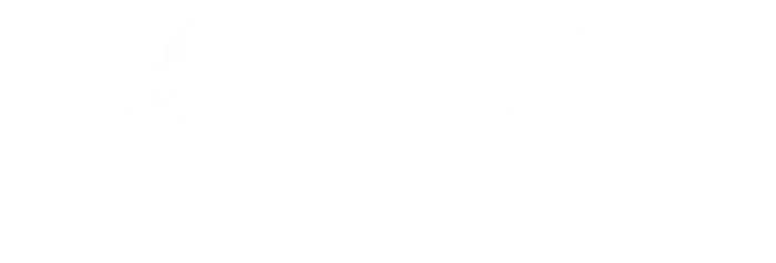 [company_name], [city], [postcode]